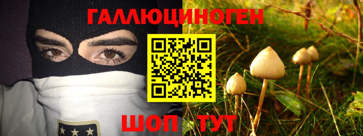 Галлюциногенные грибы Cubensis Йошкар-Ола